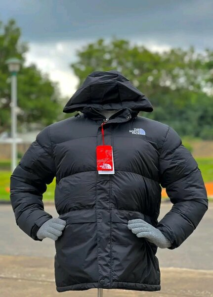 The north face
