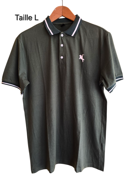 Polo Homme Classique à Rayures