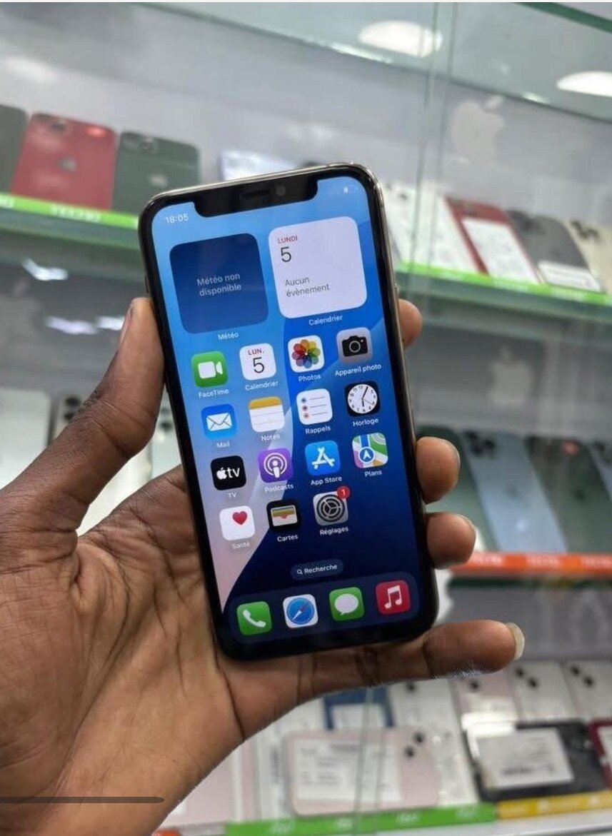 Smartphone haut de gamme performant