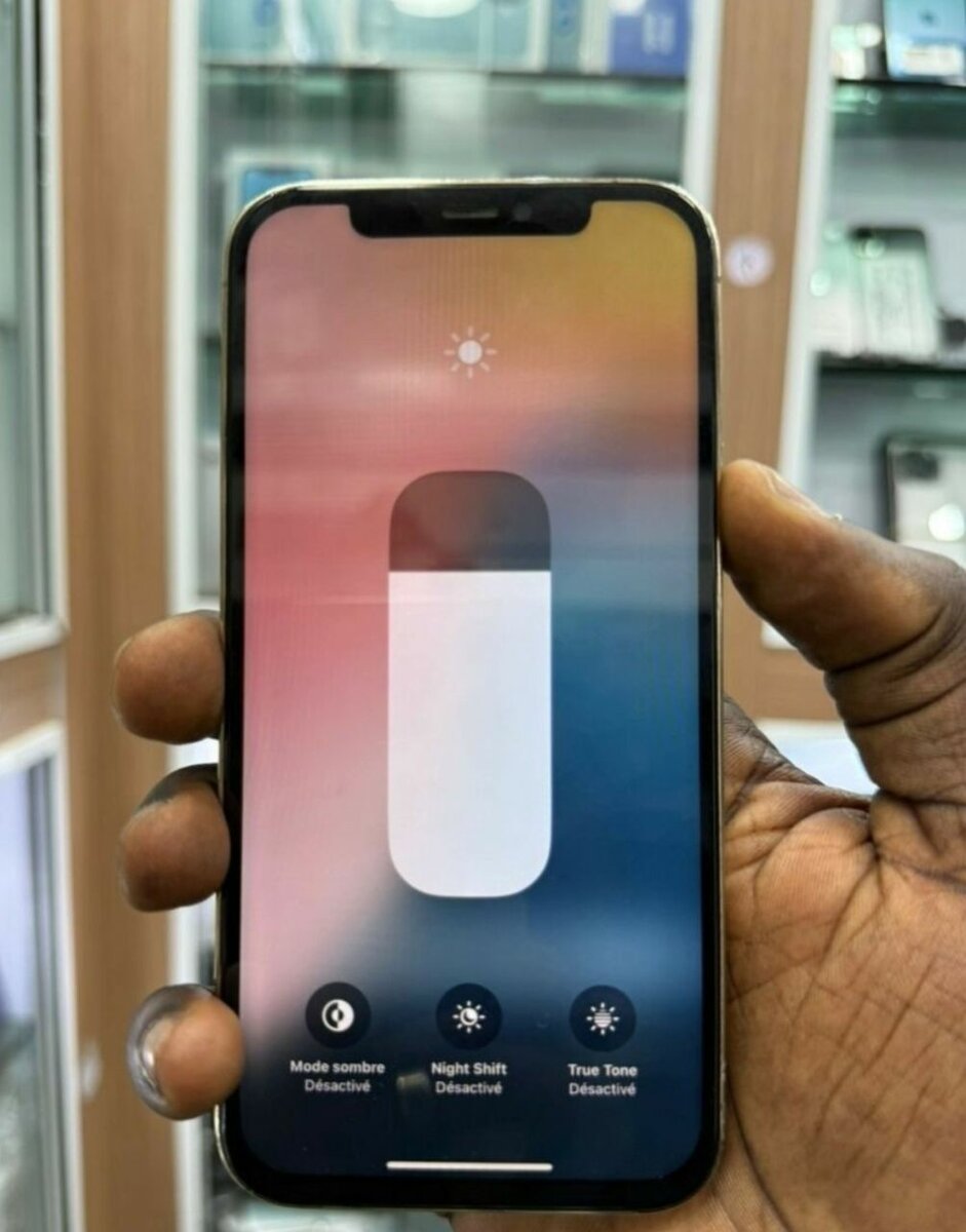 iPhone 11 Pro Max Débloqué