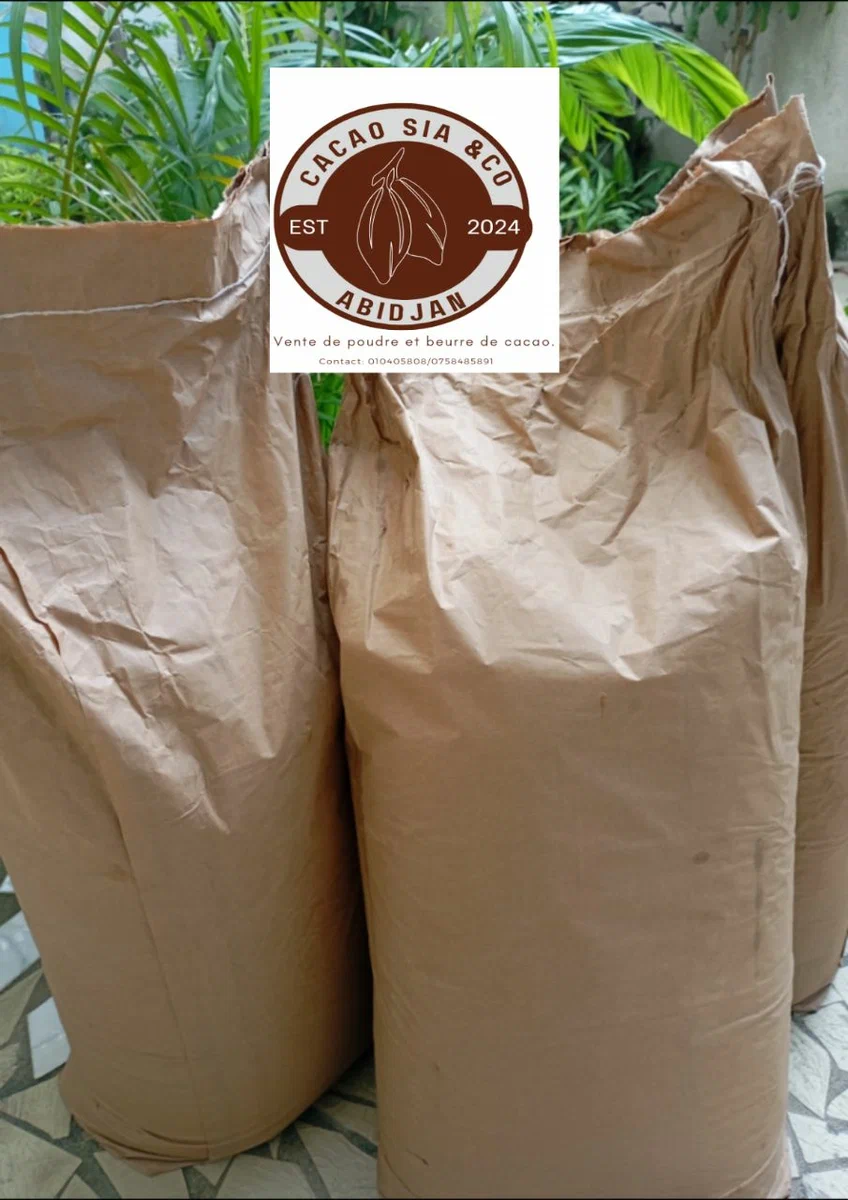 Poudre de Cacao Pur Abidjan