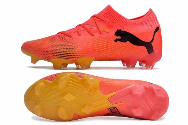 Paire de magre