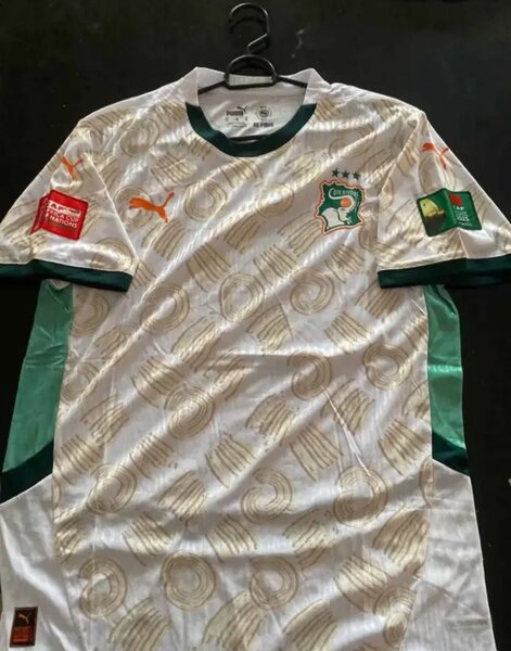 Maillot de Foot Puma Cameroun