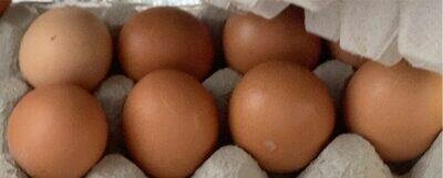 Œufs Fermiers Frais