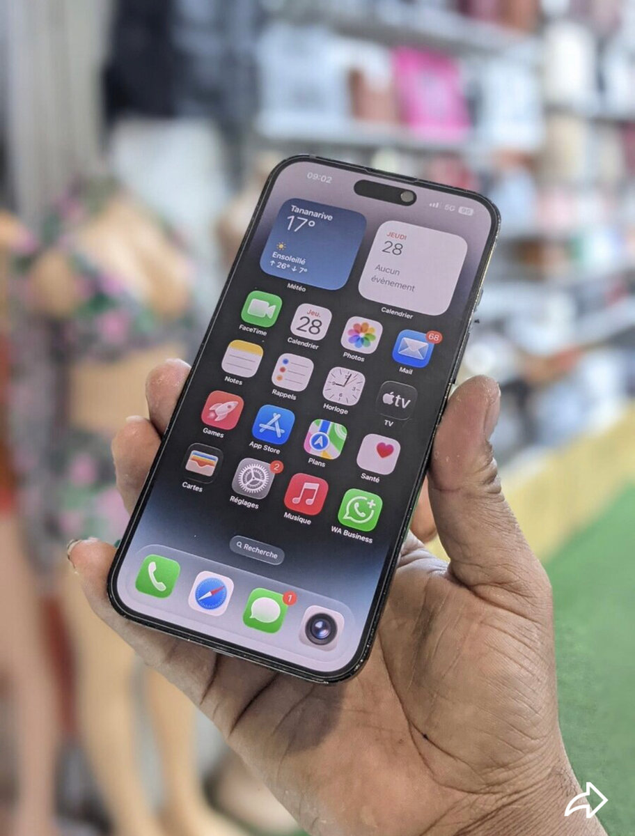 iPhone 14 Pro Max 256 Go