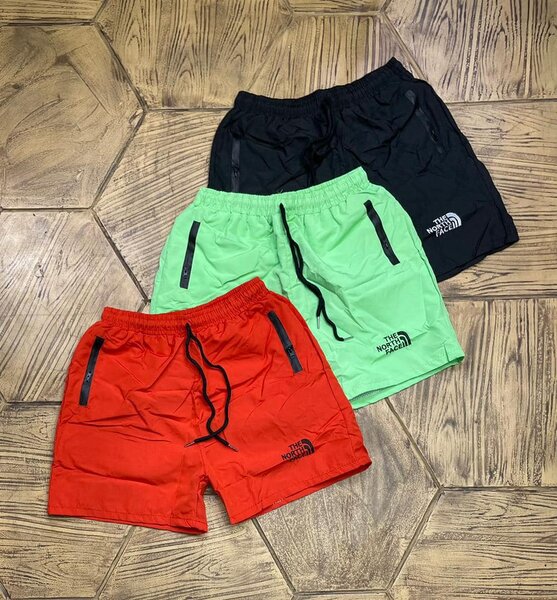 summer shorts the north face