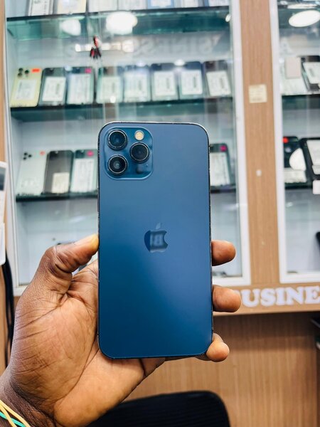 12 pro max 256giga sans id