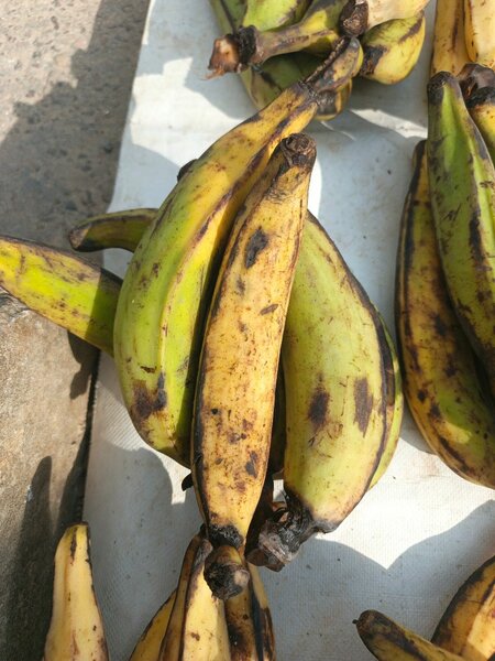 Banane de foutou