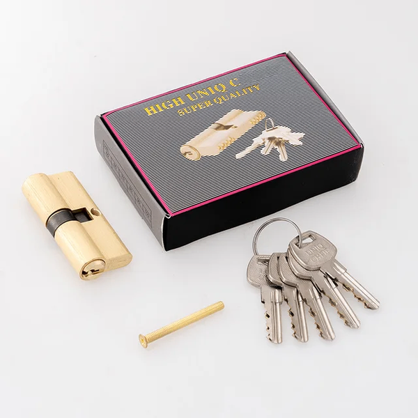 Cylindre de serrure haute sécurité