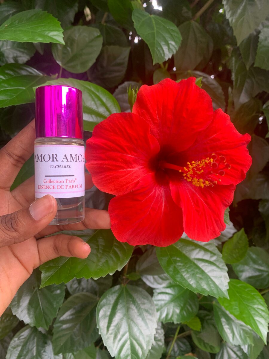 Essence de parfum sans mélange