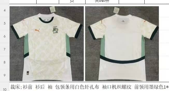 Maillot de Football Puma