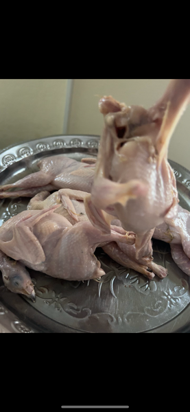 Caille fraîche par lot de 5