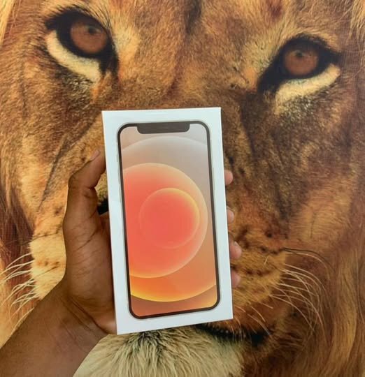 Brand New iPhone 12 128GB