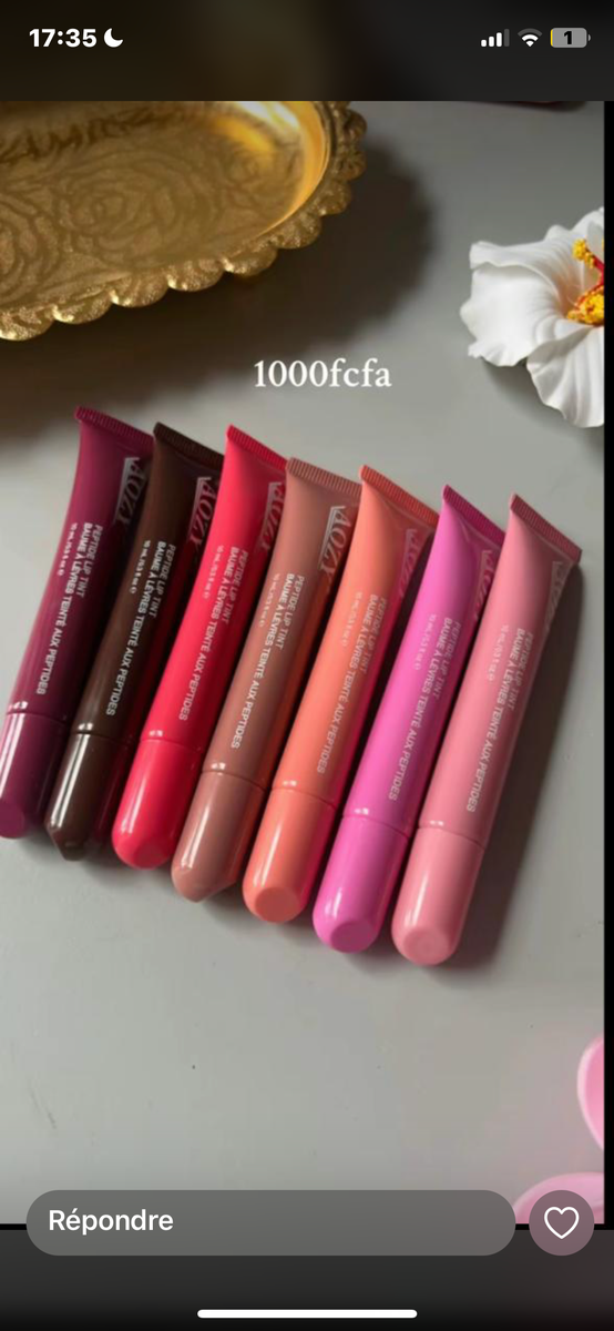 Ensemble de Brillants à Lèvres