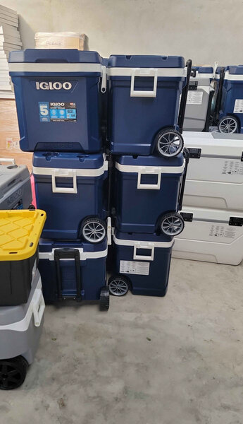 Glacière Igloo robuste