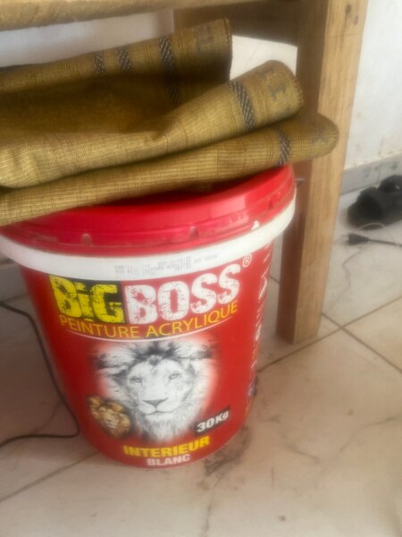 Peinture Acrylique Intérieure 30kg