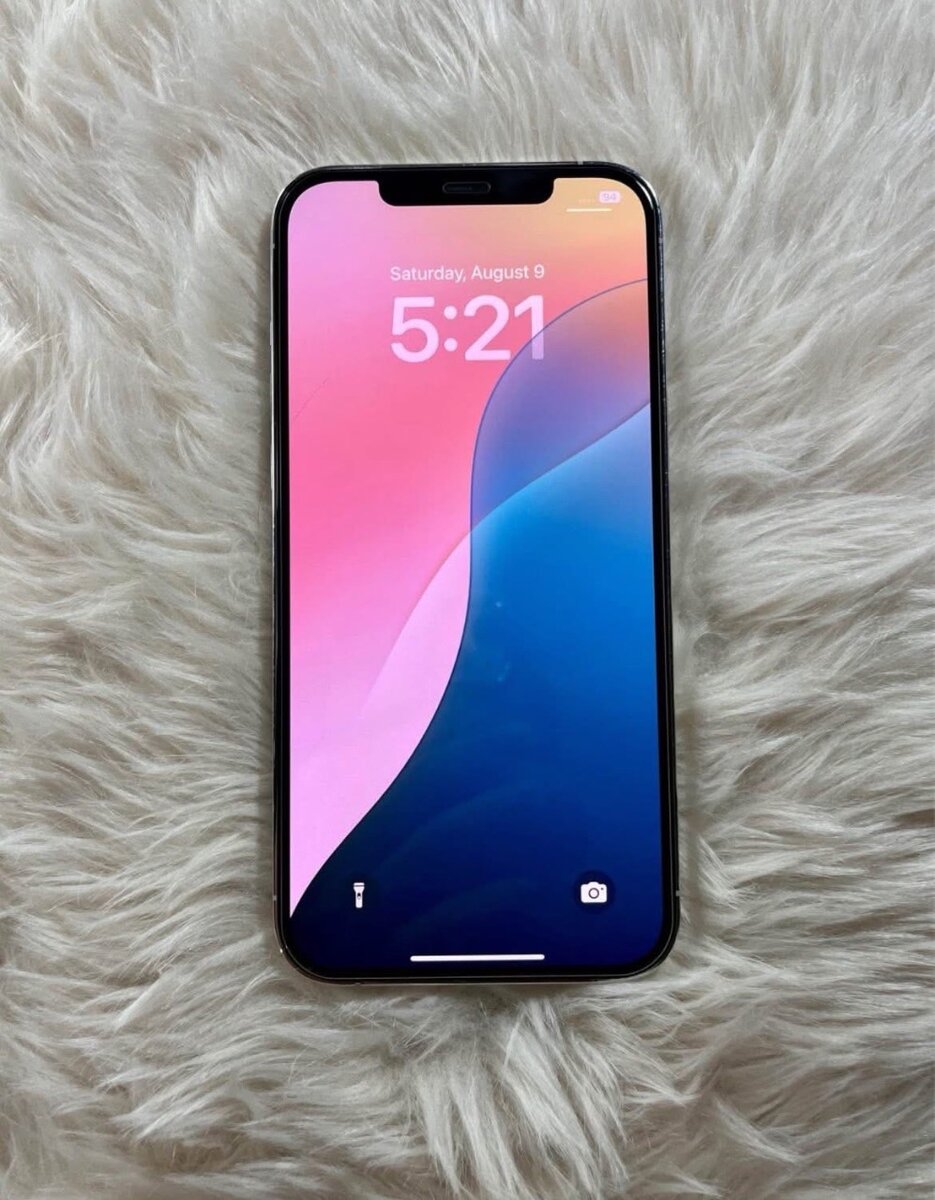 iPhone 12Pro Max 256Go Argent