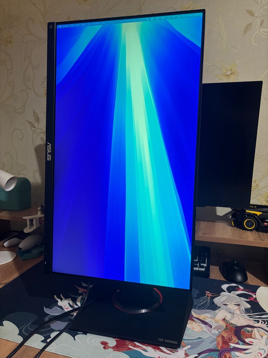 Asus TUF Gaming VG249Q