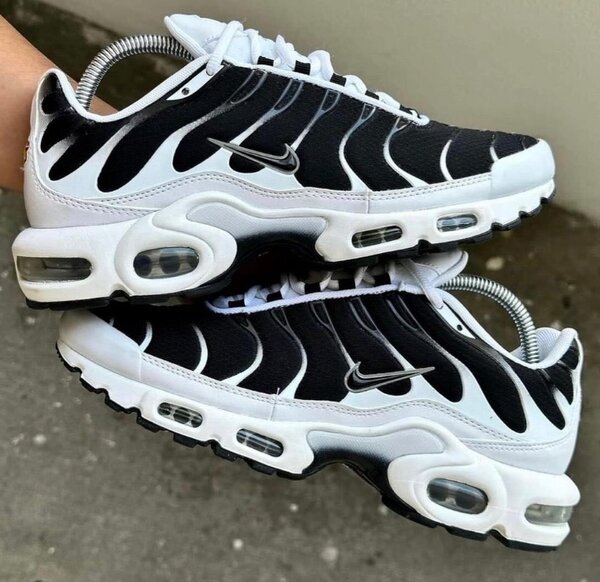 Nike Air Max TN Requin Homme