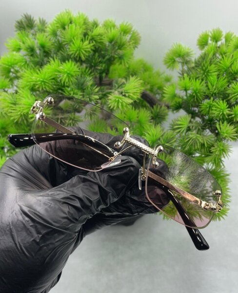 Lunettes Type Cartier