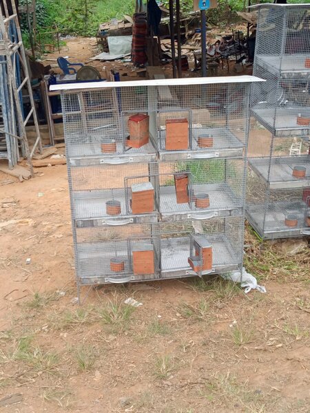 Cages pour Oiseaux Empilables