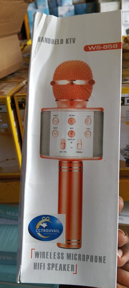 Micro Karaoké Sans Fil Bluetooth