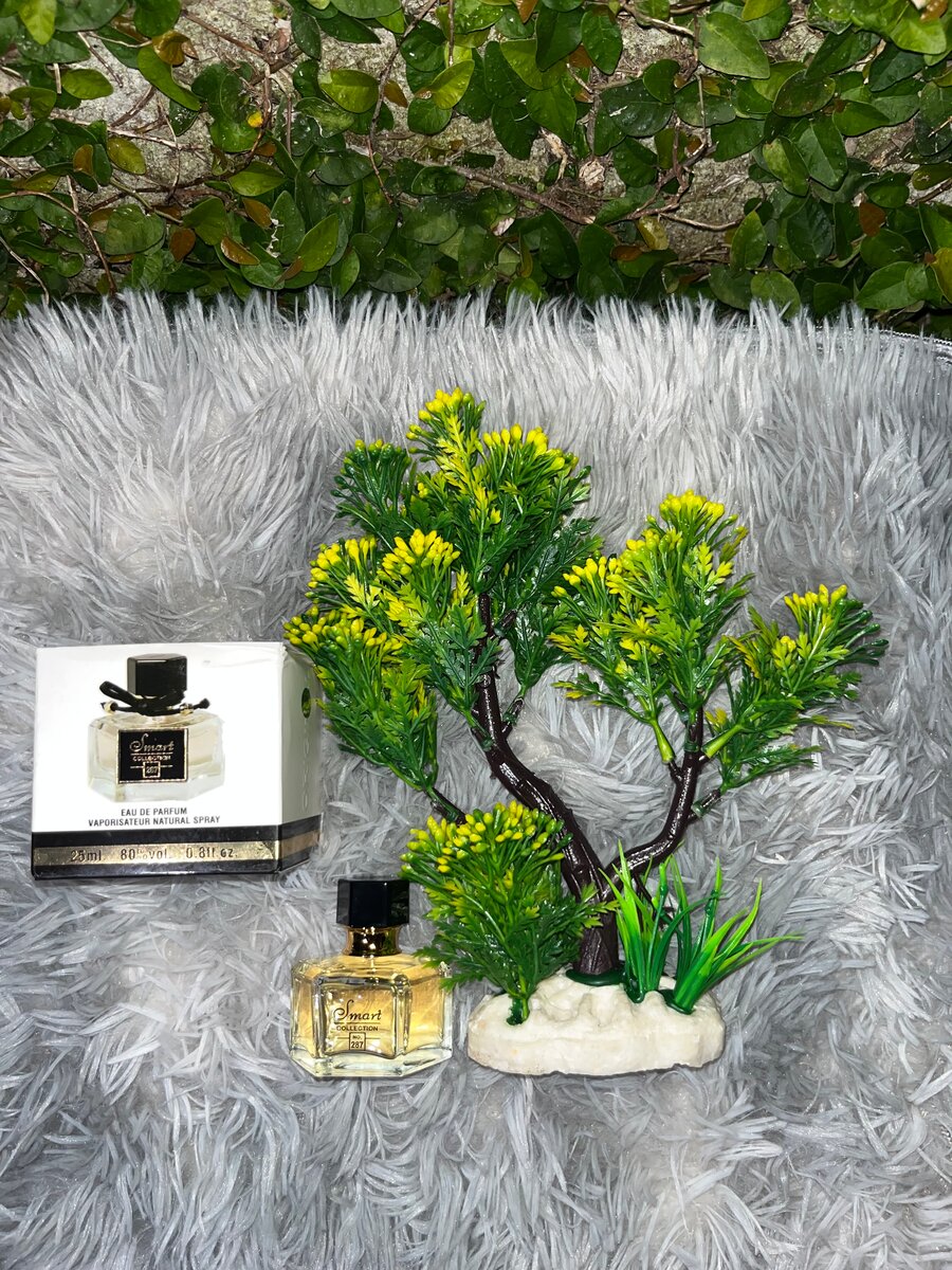 Coffret de Parfums Luxe 25ml