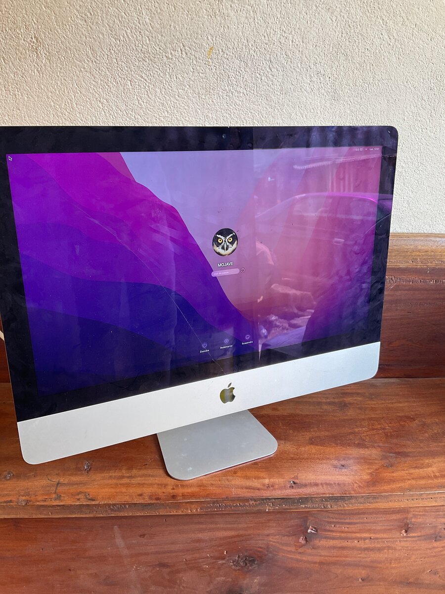 Apple iMac 21.5 pouces
