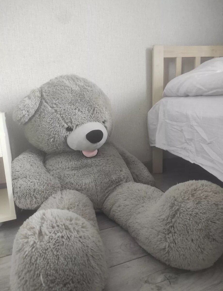 ПЛЮШЕВЫЙ МЕДВЕДЬ