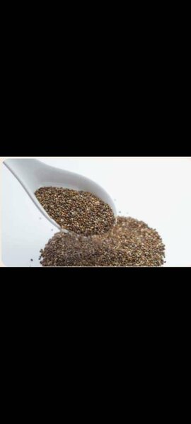 Graines de chia 500g