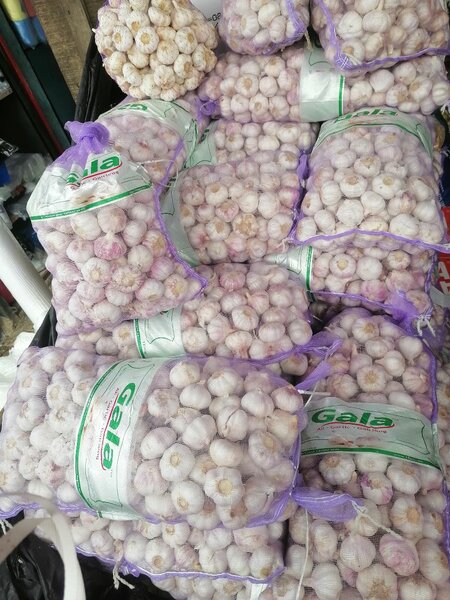 Ail frais en sac Gala/kg