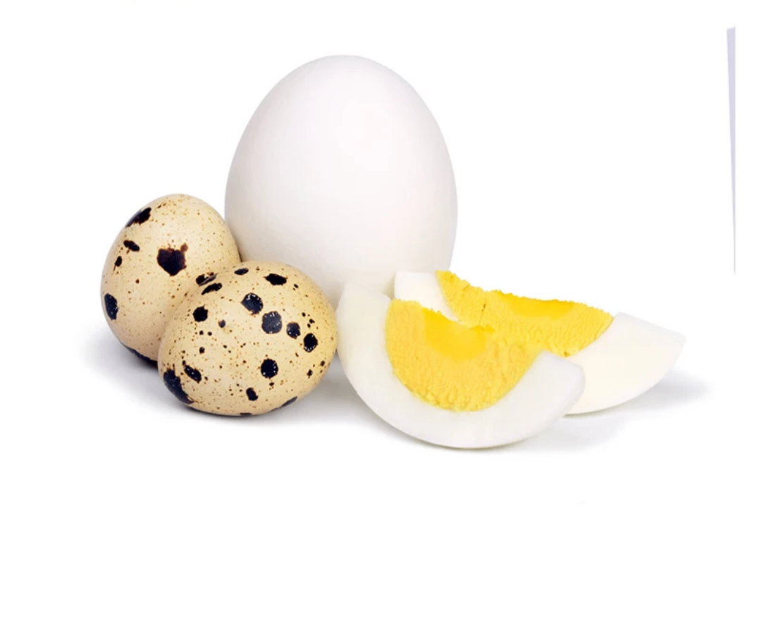 Œufs de caille frais