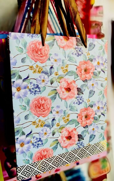 Stylish gift bags for packages