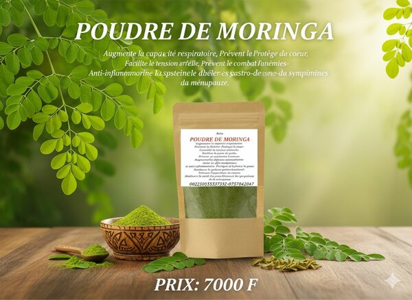 Poudre de Moringa Bio 1 kg