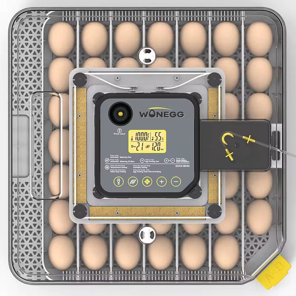 Couveuse automatique 48 oeufs