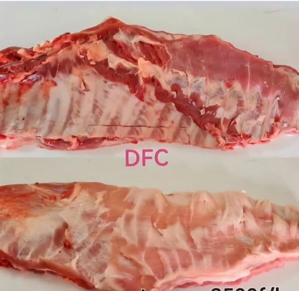 Travers de porc fraîche