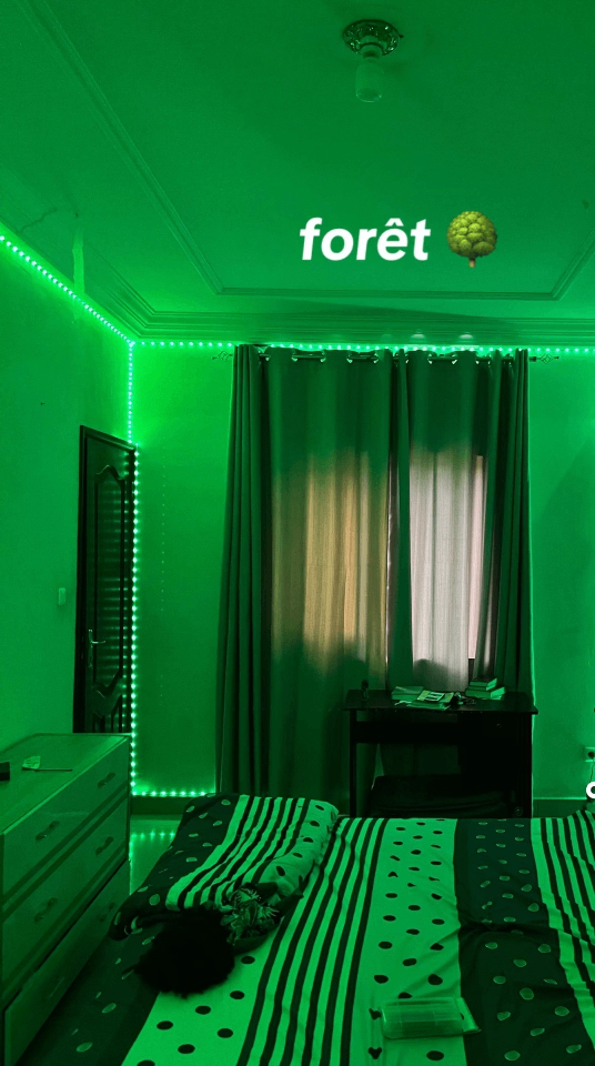 Bande LED RGB avec télécommande