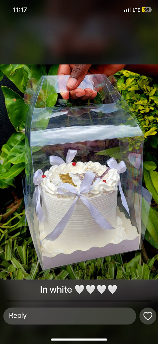 Bento cakes and cupcakes