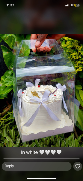 Bento cakes and cupcakes