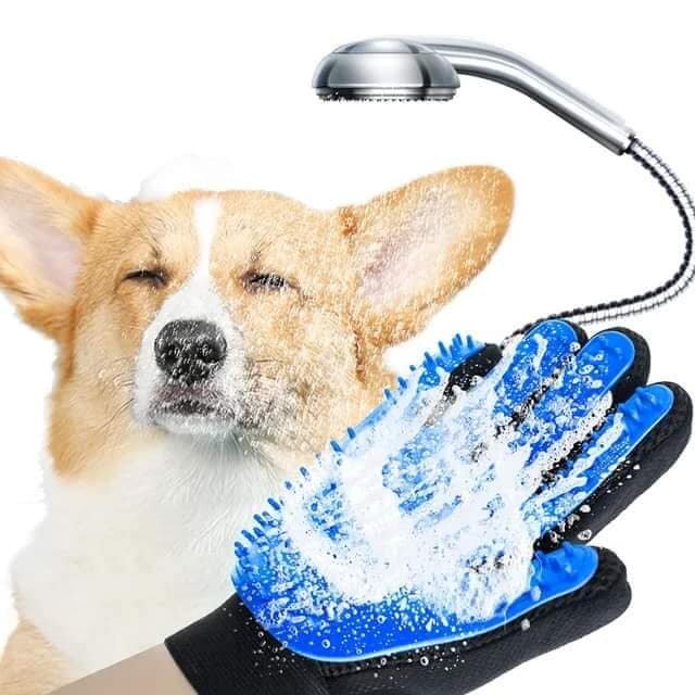 Brosse gant disponible 