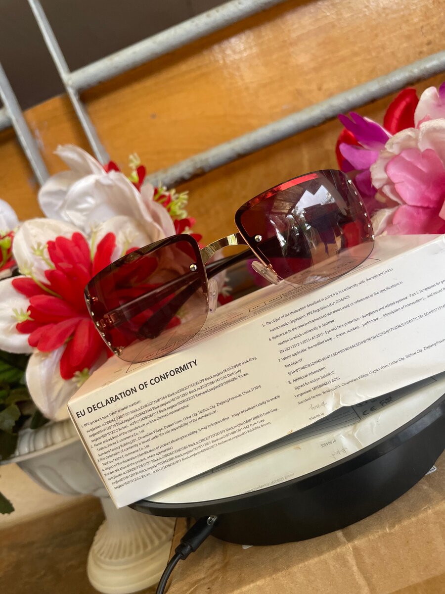 Lunettes de soleil élégantes