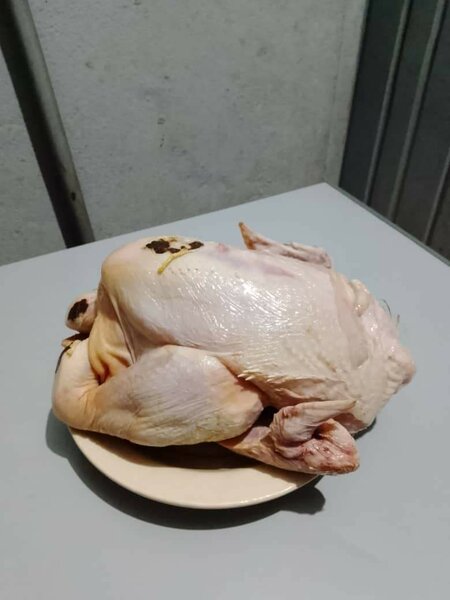 Poulet entier frais