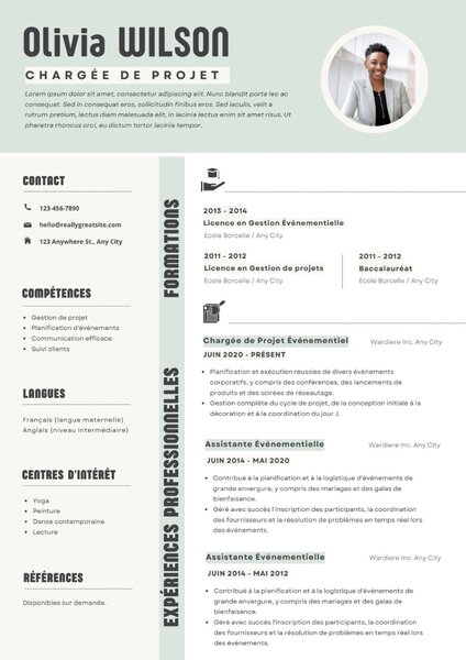 Modèles de CV Professionnels