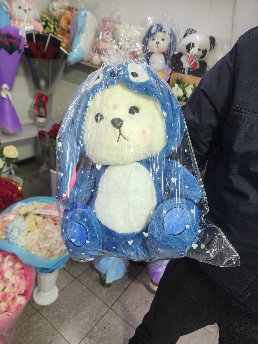 Мишка с пледом