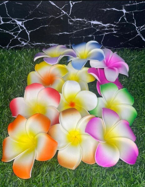 Pinces à cheveux fleurs tropicales