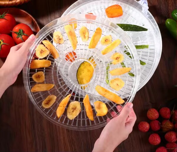 Déshydrateur Alimentaire Compact