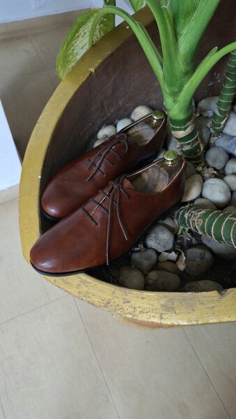 Wilson's Executive Brown derby shoes