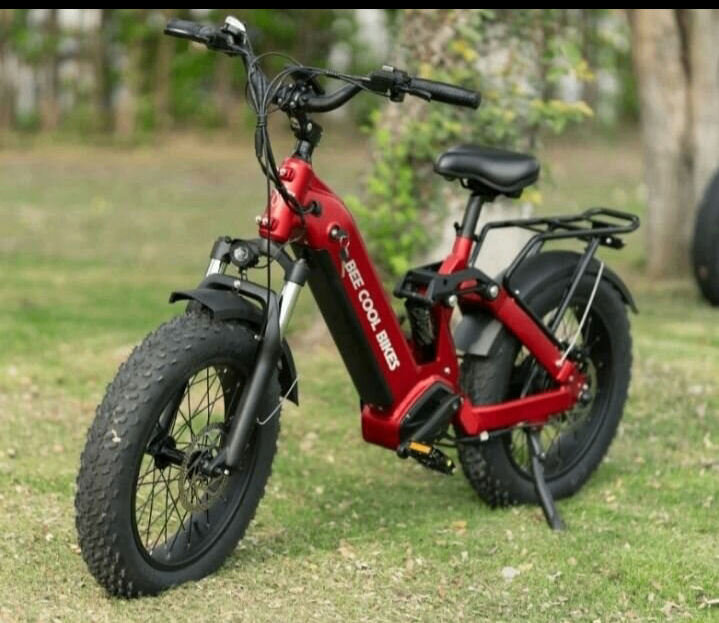 Vélo électrique robuste