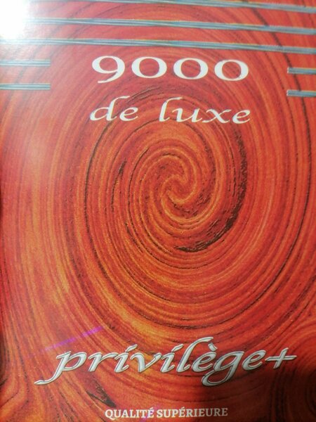 Cahier 100P