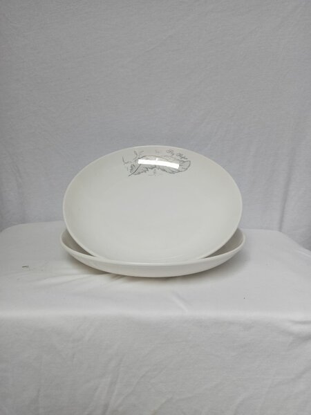 Assiettes en céramique élégantes